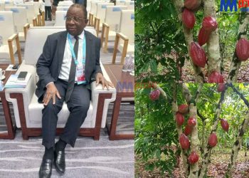 Cocoa Prices influcence cost of chocolate