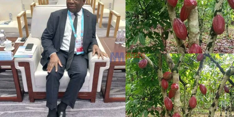 Cocoa Prices influcence cost of chocolate