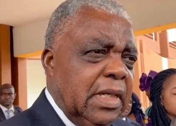 Emmanuel Sadi