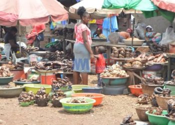 Mabeta Smoked fish market in south west cameroon(photo credit;Aminateh Nkemngu)