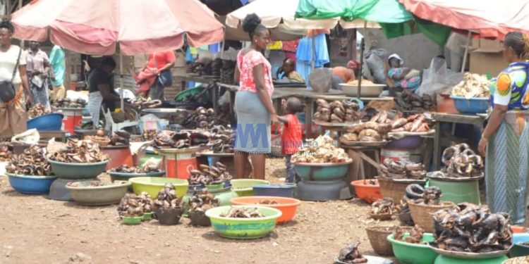 Mabeta Smoked fish market in south west cameroon(photo credit;Aminateh Nkemngu)