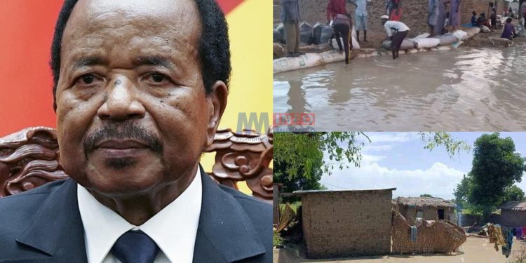 President Biya's failed promises to contruct Gobo-Kousseri Dyke responsible for ongoing floods