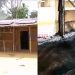 Separatist fighters attack community, burn chief and wife