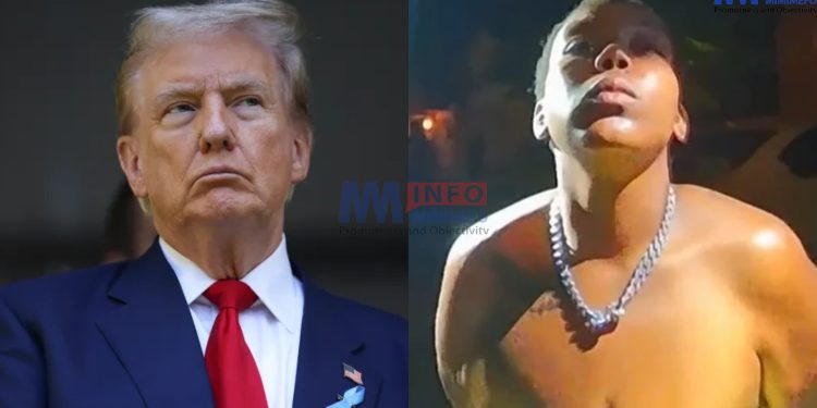 Trump's false allegations about migrants debunked
