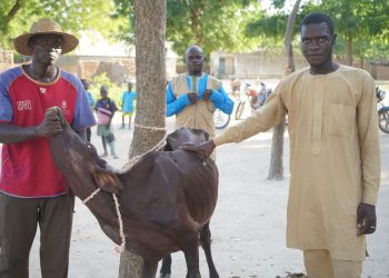 Soutien aux communautés vulnérables du Mayo-Sava : PRICA-Cameroun à la rescousse
