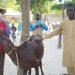 Soutien aux communautés vulnérables du Mayo-Sava : PRICA-Cameroun à la rescousse