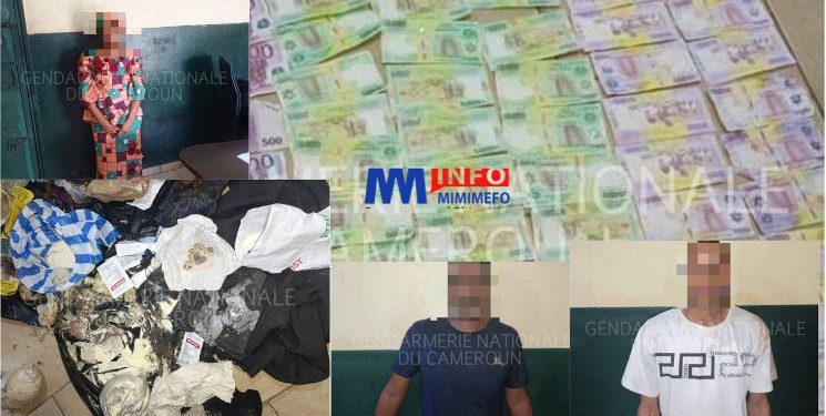 Interpellation de Faussaires de Monnaie à Tsinga