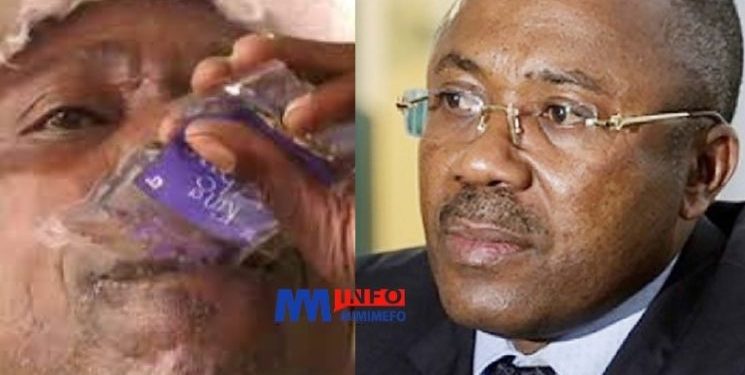 Le gouvernement camerounais impose un délai de 6 mois pour l'interdiction des whiskys en sachet