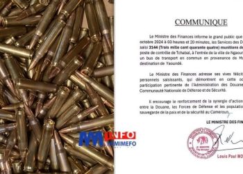 Saisie de Munitions de Guerre par la Douane Camerounaise à Tchabal