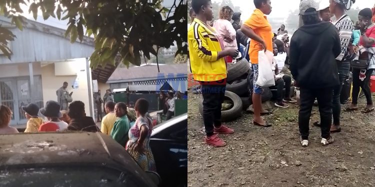 Authorities release Maumu youths detained