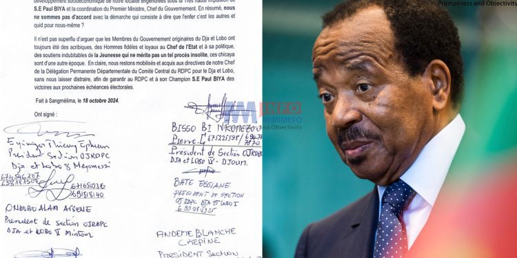 CPDM member express support for Biya