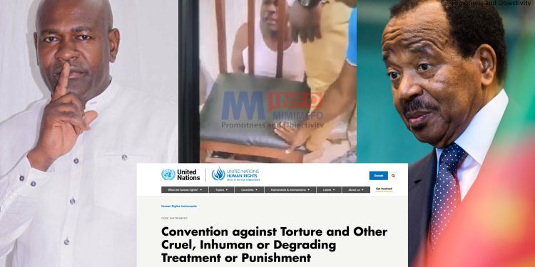 Cameroon Violates UN Convention Against Torture