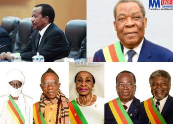 Cameroon's contitutional provisions in case of a vacancy