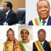 Cameroon's contitutional provisions in case of a vacancy