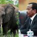 Elephant appearance fuels rumours about Paul Biya's absence