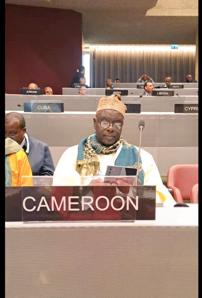 Aboubakary Abdoulaye, Cameroon First vice president and Biya's constitutional successor