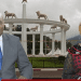 Dora Shey praises Paul Biya