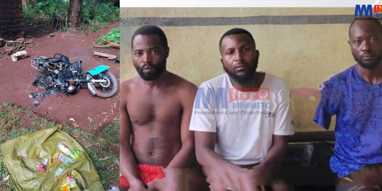 Three separatists arrested in Kedjom Ketinguh by Cameroon military