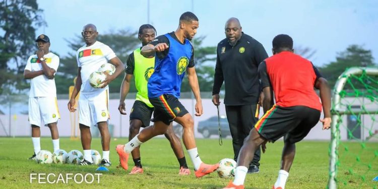 Préparation de l'Équipe Nationale du Cameroun pour les Éliminatoires de la CAN 2025