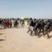 Nord : La Gendarmerie Nationale Renforce ses Capacités Opérationnelles