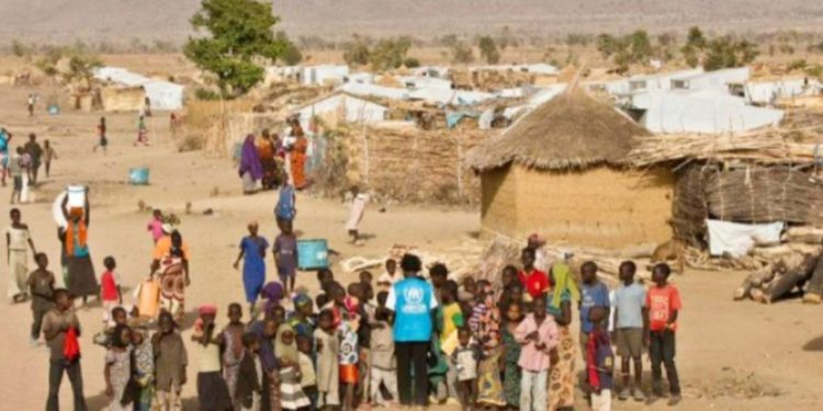 Crise alimentaire au camp de réfugiés de Minawao