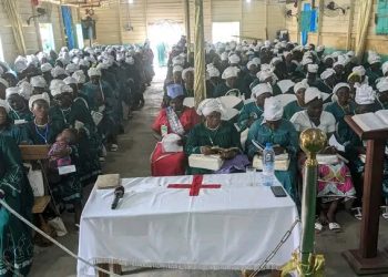 Nkambe D.O. Greenlights CBC to Hold Elections Despite Court Ruling 