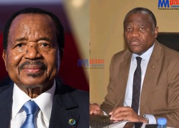 Cameroon's history of torture in the spotlight