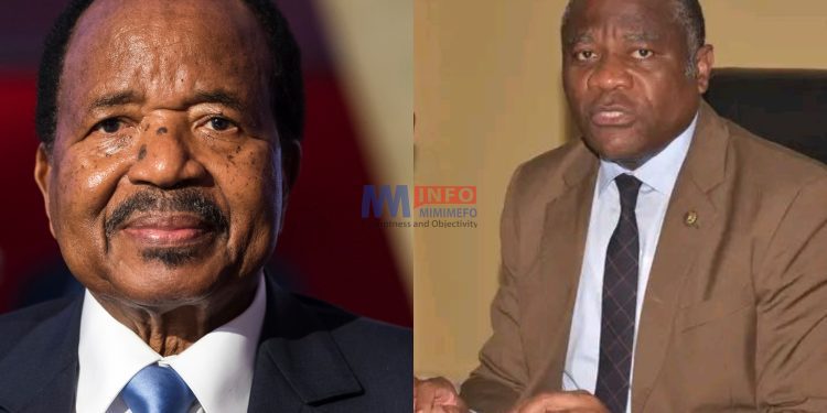 Cameroon's history of torture in the spotlight