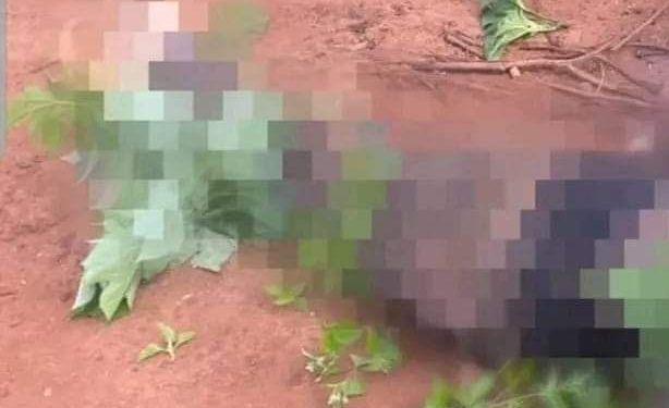 Young man killed in Mulang