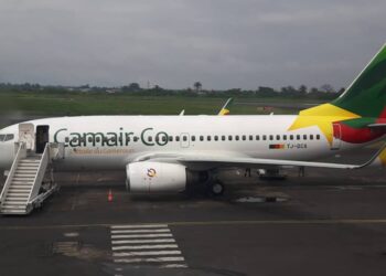 Camair-Co veut faire la ligne de Paris en 2025