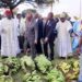 C'est parti pour le festival banane plantain à Douala