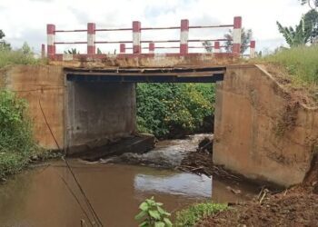Babadjou : Le Maire offre un pont à sa population