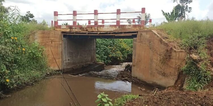 Babadjou : Le Maire offre un pont à sa population