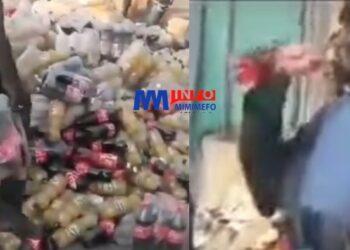 Bonaloka : Des camerounais se délectent des jus périmés jetés dans une poubelle