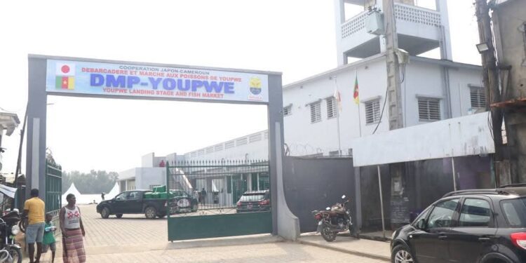 Douala : Le Japon offre le Marché aux Poissons de Youpwè