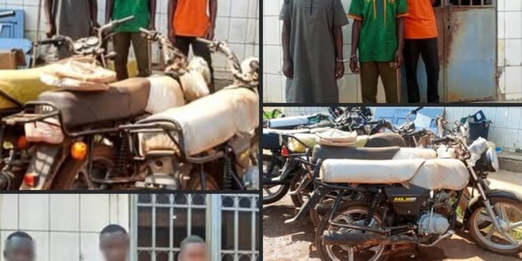 Arrestation d'un Gang de redoutables Brigands à Bertoua