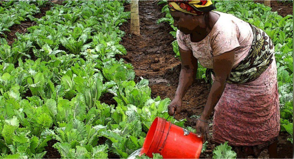 Financement Agricole
