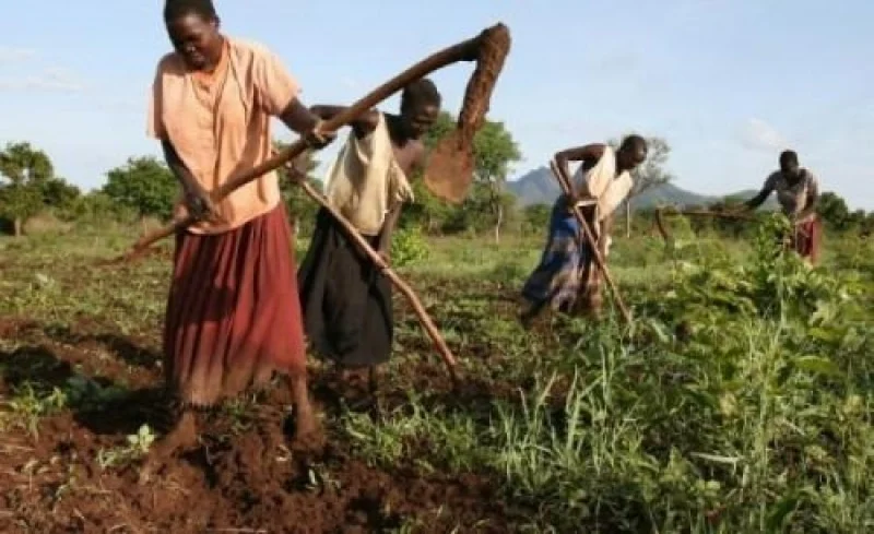 Agric Cam