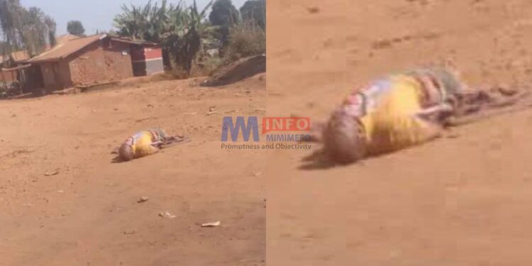 Amba fighters kill man in Pinyin