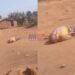 Amba fighters kill man in Pinyin