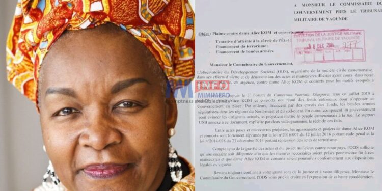 Barrister Alice Nkom faces baseless allegations from a little-known NGO