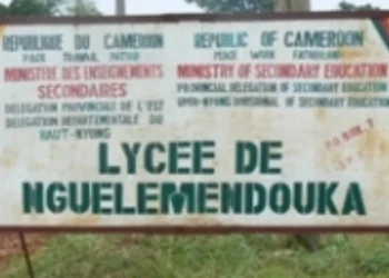 Lycee De Nguelemendouga