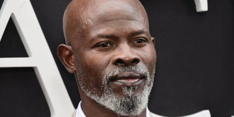 Djimon Hounsou says he is a victim of systemic racism in Hollywood