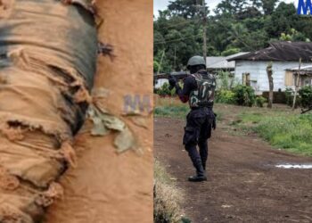 Separatist gang dismantled in Bamenda
