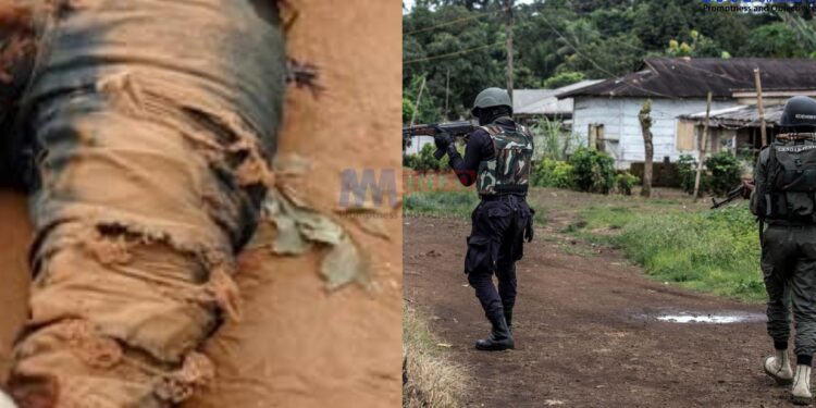 Separatist gang dismantled in Bamenda