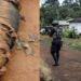 Separatist gang dismantled in Bamenda