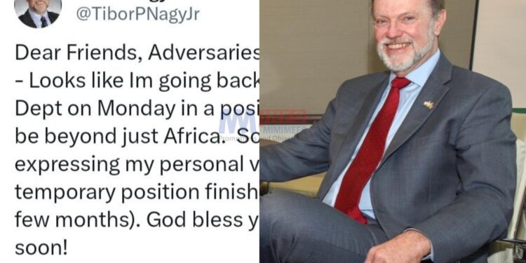 Tibor Nagy on way back to the White House