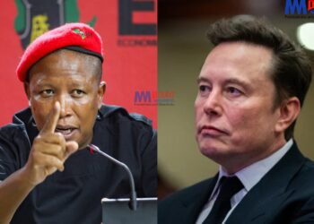 Julius Malema face-off with Elon Musk