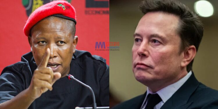 Julius Malema face-off with Elon Musk