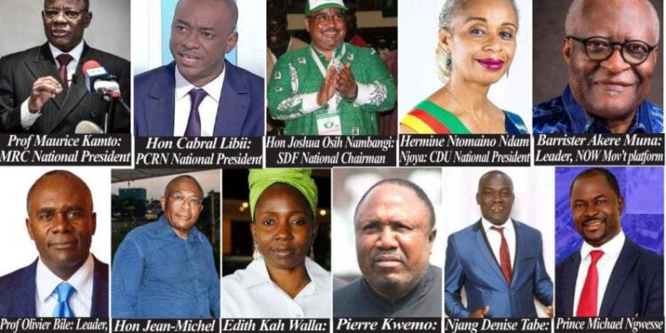 SDF says Maurice Kamto not interested in an opposition coalition